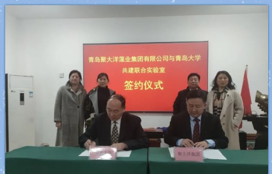 凝生命智慧 聚天下大洋┃聚大洋集團(tuán)與青島大學(xué)舉行海藻大健康產(chǎn)品開發(fā)及生物質(zhì)高值化利用聯(lián)合實(shí)驗(yàn)室簽約儀式