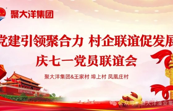 黨建引領(lǐng)聚合力，村企聯(lián)誼促發(fā)展┃聚大洋集團(tuán)舉辦慶七一村企黨員聯(lián)誼會(huì)