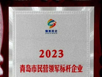 2023青島市民營領(lǐng)軍標(biāo)桿企業(yè)